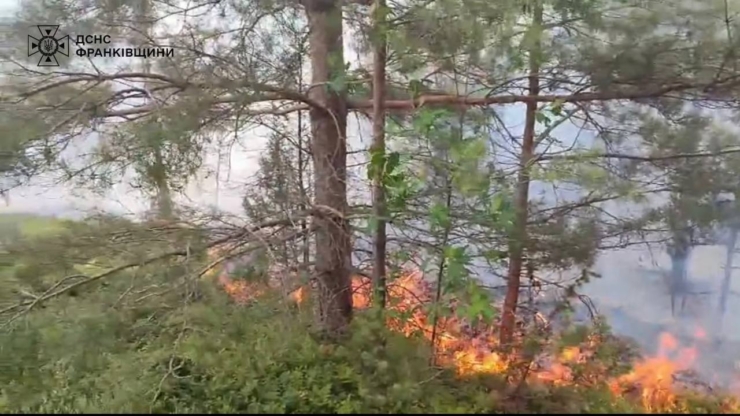 Понад 30 рятувальників гасять лісову пожежу на Прикарпатті