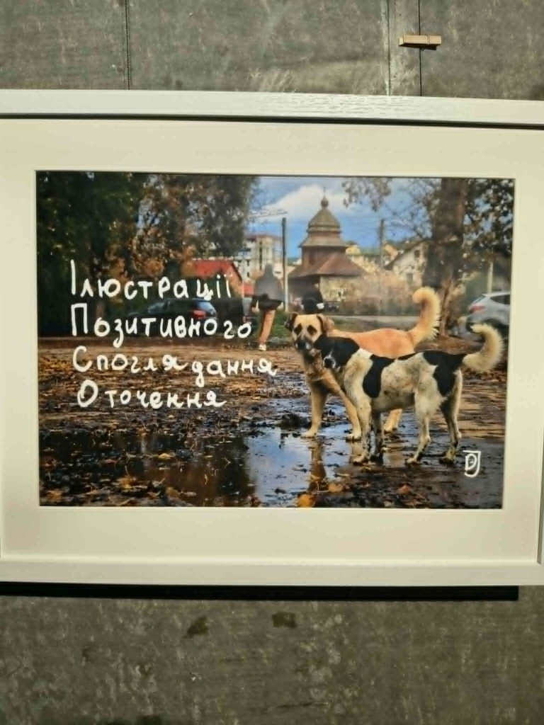 Художник Нікіта Тітов та фотографка Діана Яців представили у Франківську виставку про ІПСО 3