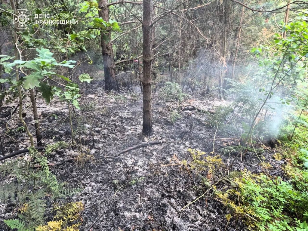 На Калущині рятувальники понад 11 годин гасили лісову пожежу 1