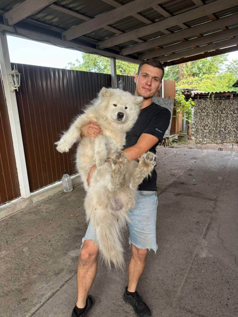 Песик у безпеці: чим завершилася історія собаки, якого вигнали з "Нової пошти" 1