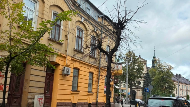 У центрі Франківська зріжуть 6 засохлих дерев