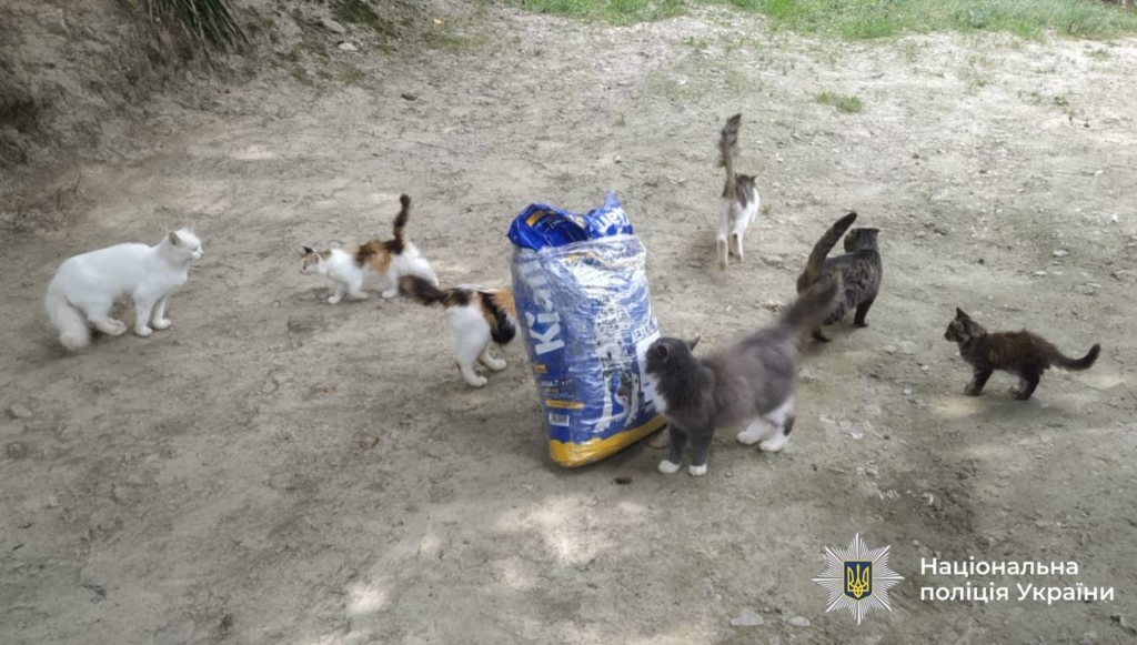 У лісі біля Косова поліція не виявила жорстокого чи неналежного поводження з тваринами 1