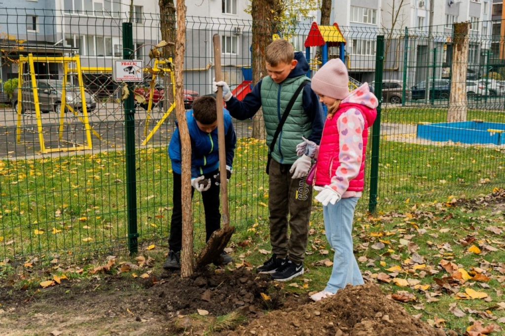 Дерева, що ростимуть разом із містом: як в Івано-Франківську з’явилася дубова алея 5