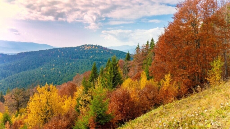 Куди поїхати в Карпати восени?