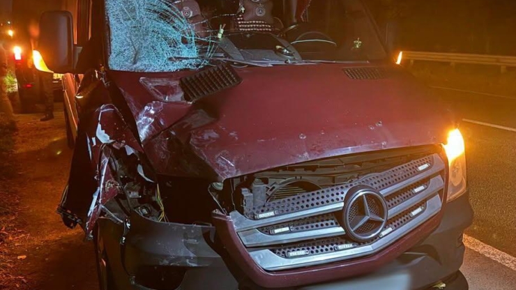 На Львівщині прикарпатець на смерть збив пішохода
