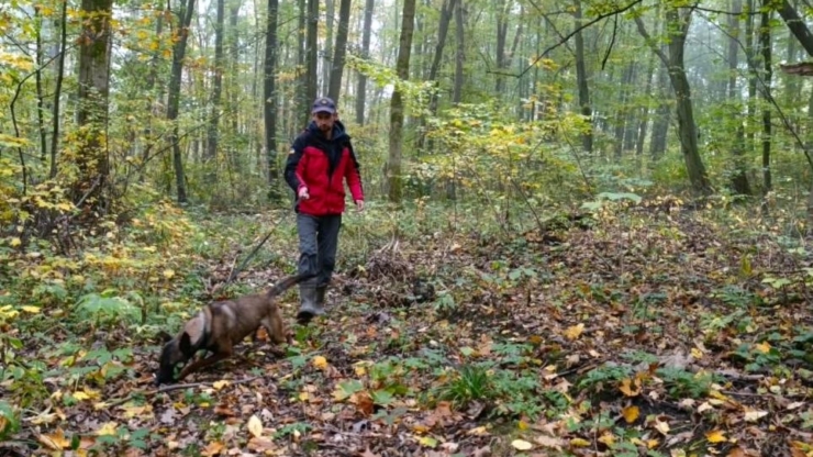 Прикарпатські рятувальники знайшли мертвого 85-річного чоловіка у лісі