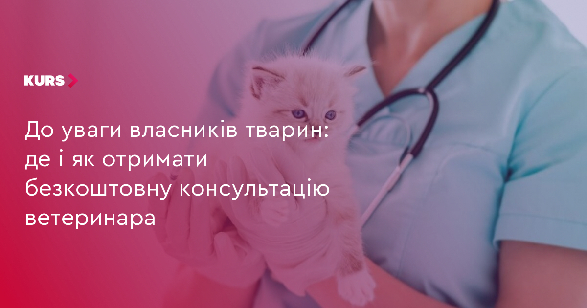 Консультація ветеринара безкоштовно: де і як отримати
