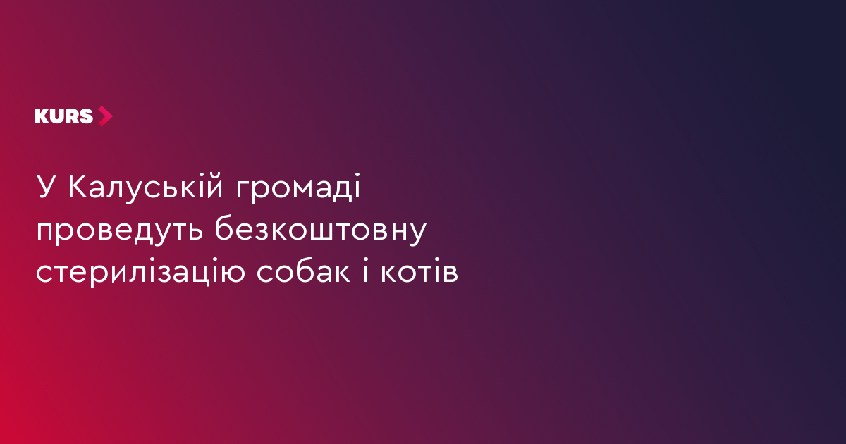 У Калуській громаді проведуть безкоштовну стерилізацію собак і котів