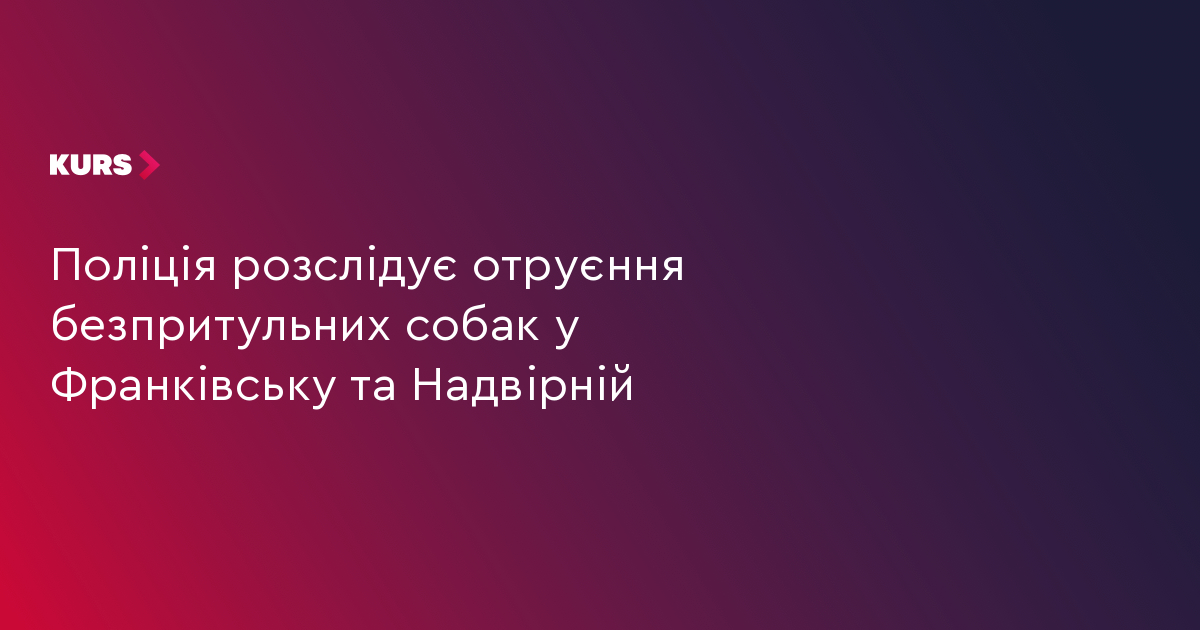 Поліція розслідує отруєння безпритульних собак у Франківську та Надвірній