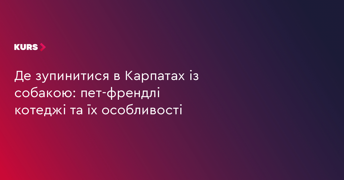 Де зупинитися в Карпатах із собакою: пет-френдлі котеджі та їх особливості