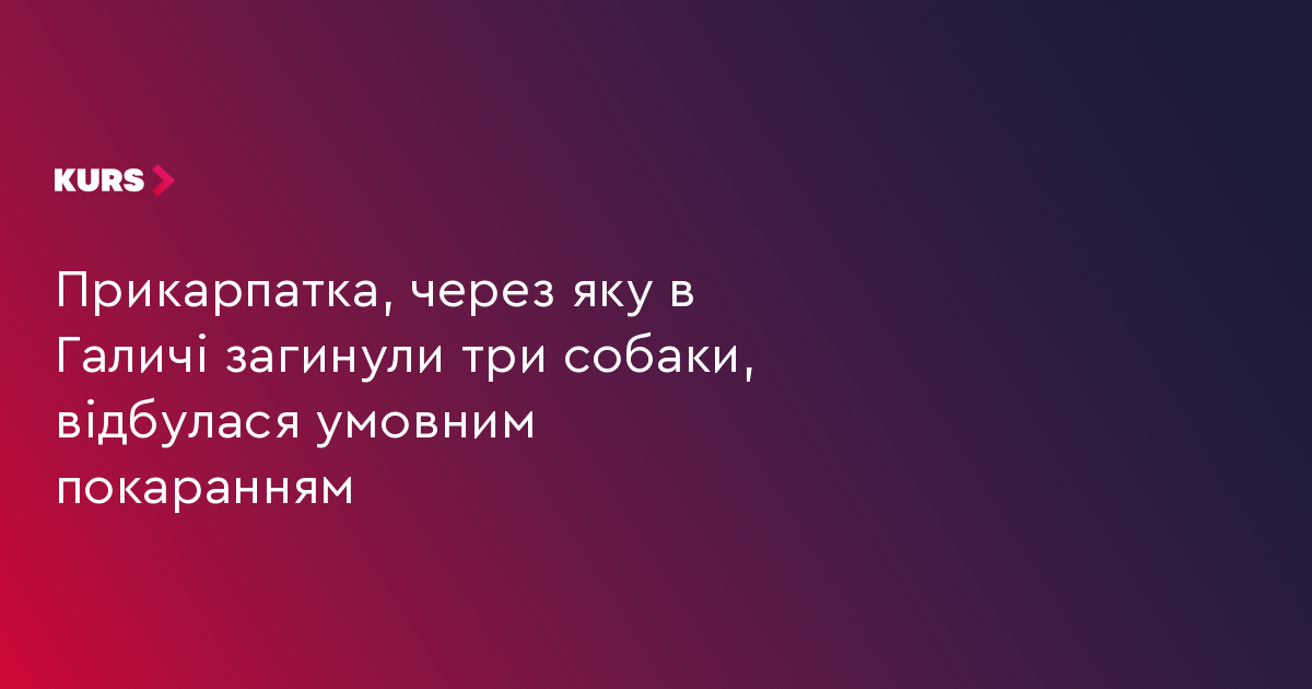 Прикарпатка, через яку в Галичі загинули три собаки, відбулася умовним покаранням