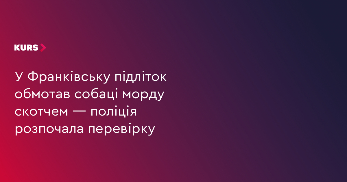 У Франківську підліток обмотав собаці морду скотчем — поліція розпочала перевірку